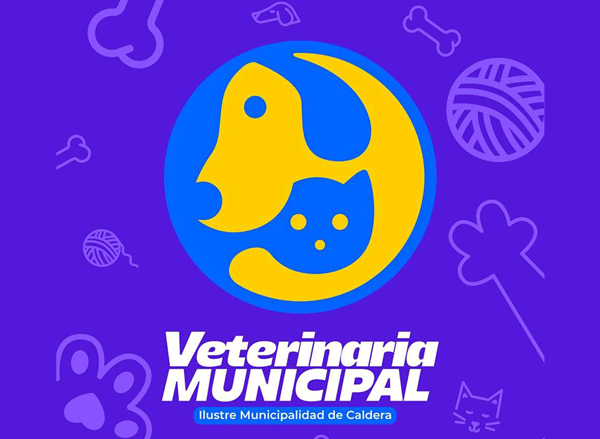 Veterinaria Municipal